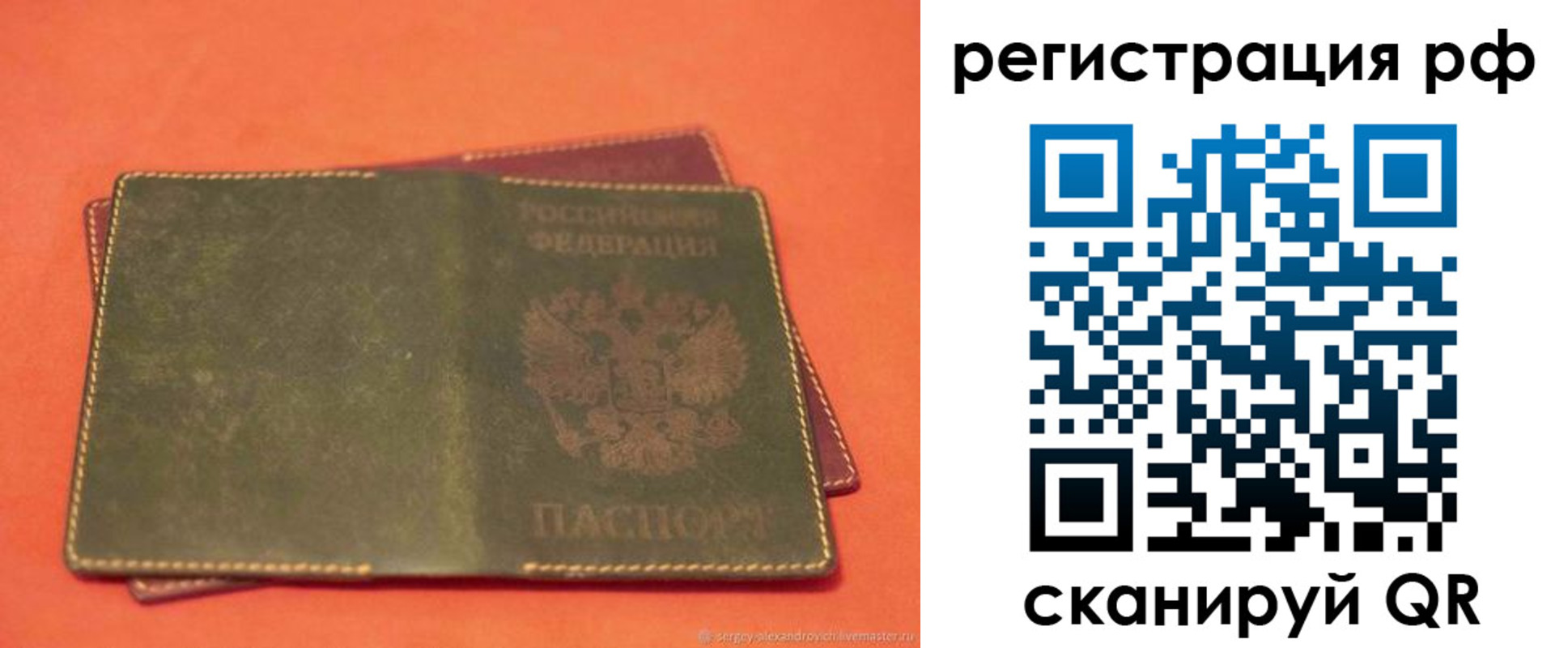 прописка 2025 в Коле